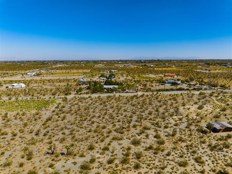 Wide Opportunities for Investors : Pinon Hills : San Bernardino County : California