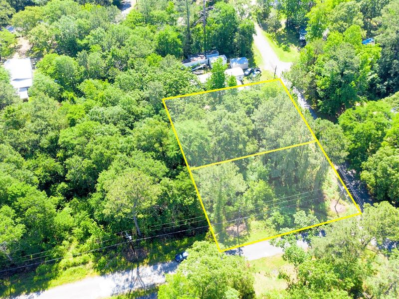 .29 Acre Corner Double Lot : Trinity : Trinity County : Texas