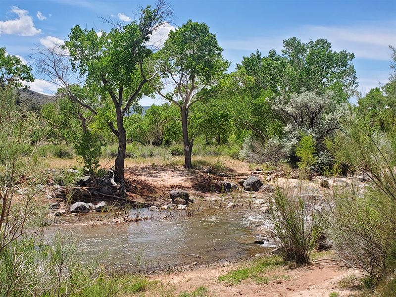 One of a Kind Zion Property : Virgin : Washington County : Utah