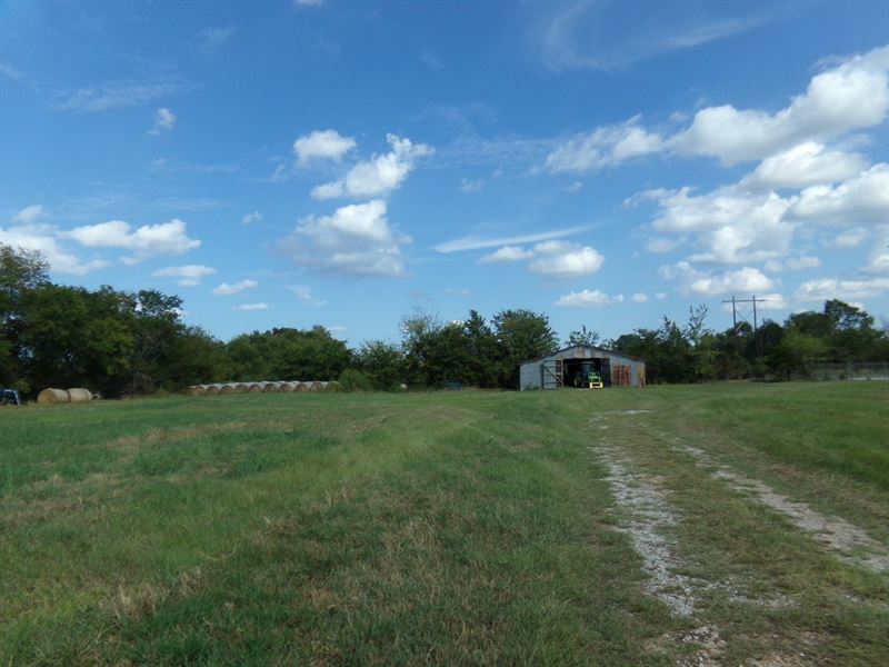 Ranch Land for Sale 231 Acres NE TX : Blossom : Lamar County : Texas