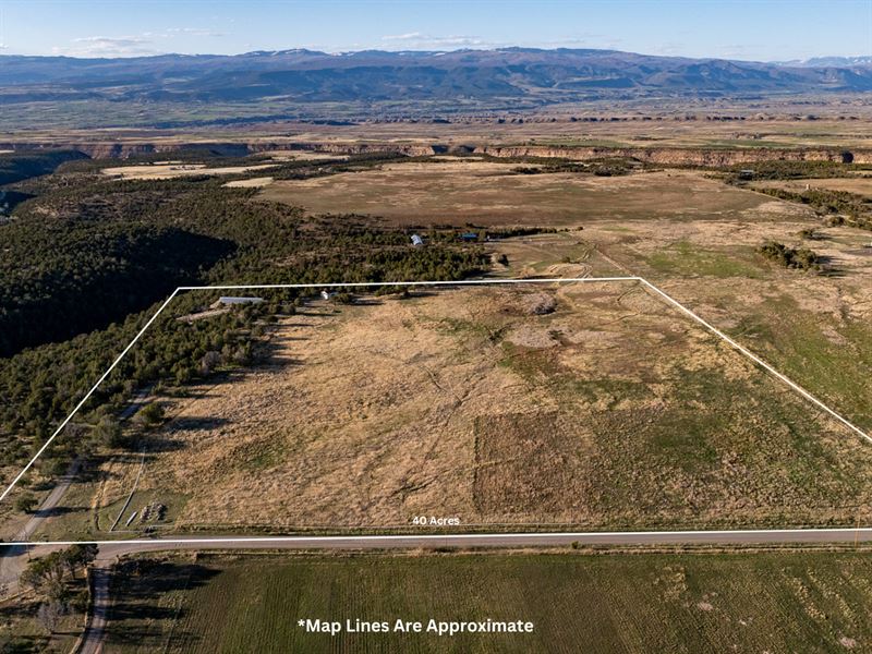 Fruitland Mesa 40 Acres with Shop : Crawford : Delta County : Colorado