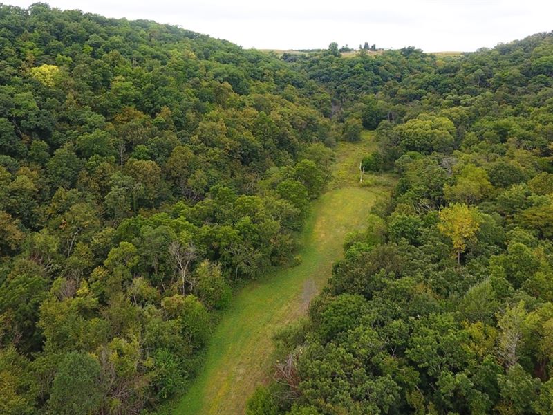 Bishop Road Hideaway : Freeman : Crawford County : Wisconsin