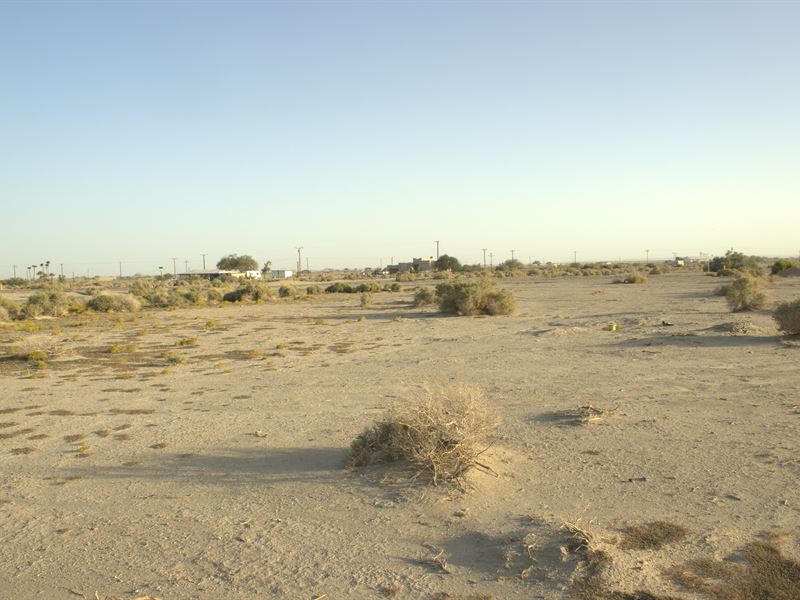 $516.29 Down for Perfect Suburb Lot : Salton City : Imperial County : California