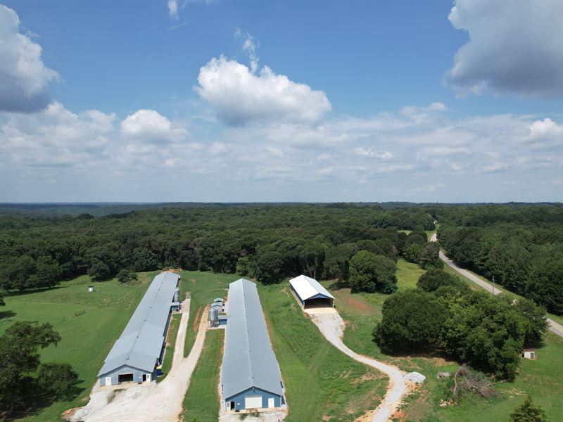 Clean 2 House Poultry Breeder Farm : Bowman : Madison County : Georgia