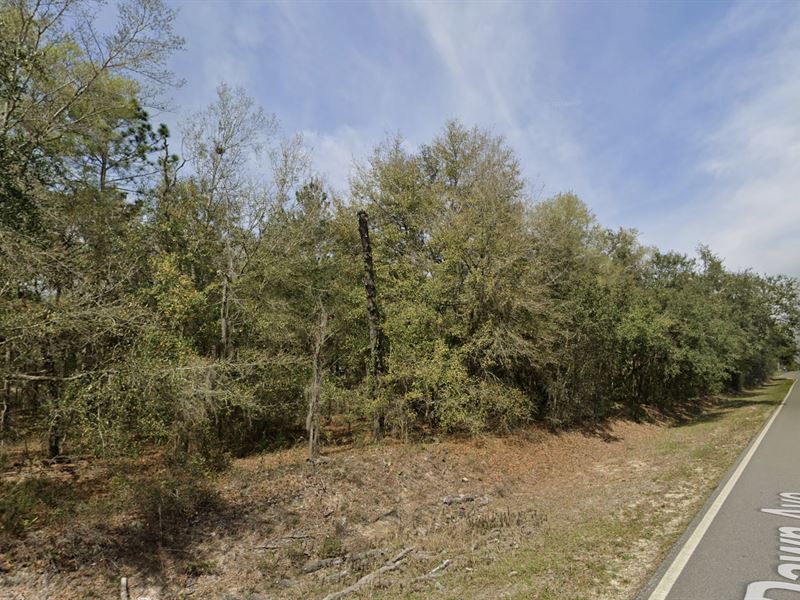 Build and Invest on Paved Dawn Ave : Interlachen : Putnam County : Florida