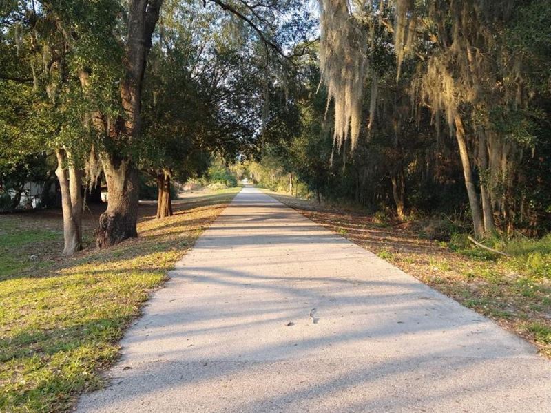 9 AC Lakefront Site, Chain of Lakes : Winter Haven : Polk County : Florida