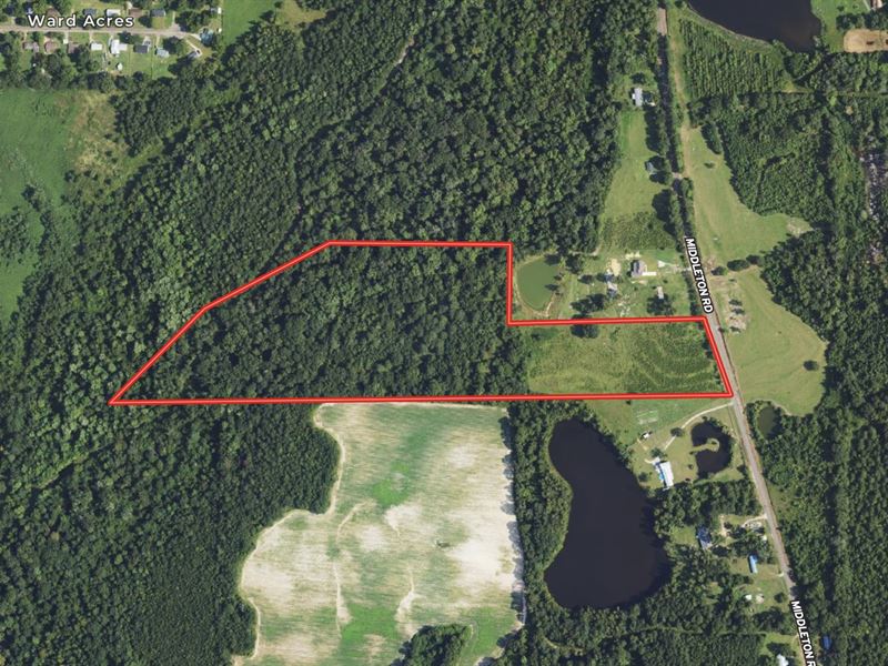 28+/- Acre Recreation / Residential : Dothan : Houston County : Alabama