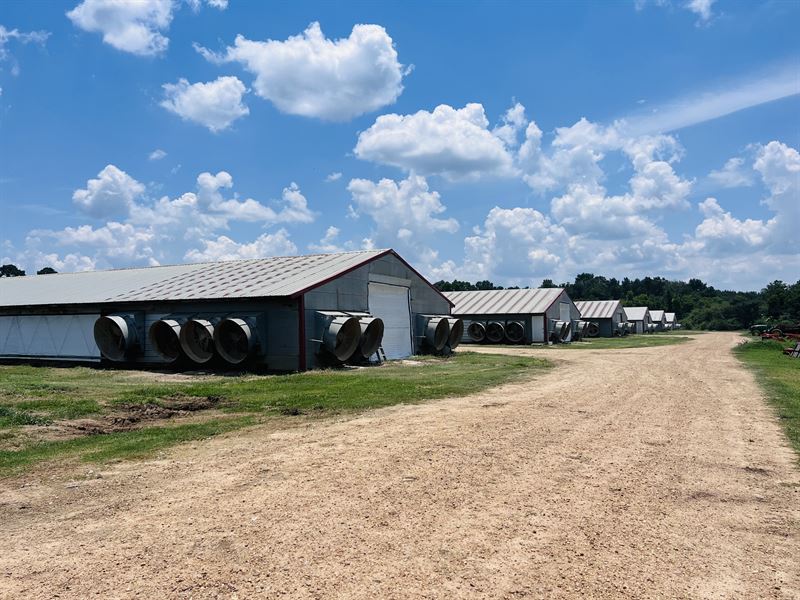 6 House Poultry Farm : Bogue Chitto : Lincoln County : Mississippi