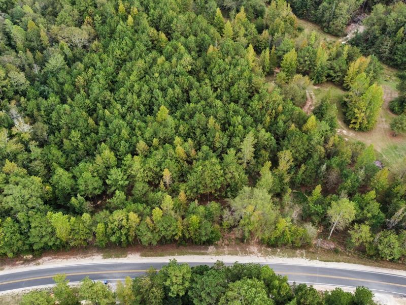 8.2 Acres in Beauregard Co Rd 42 : Auburn : Lee County : Alabama