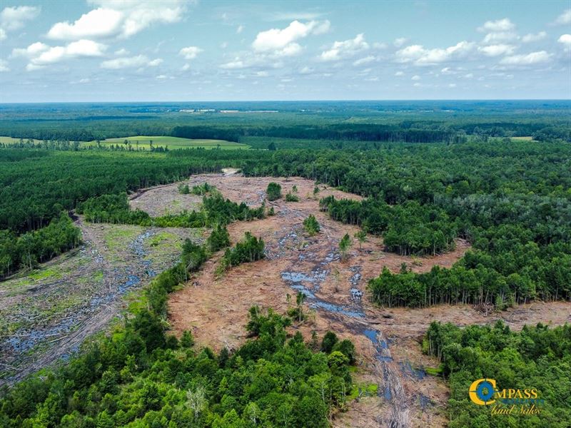 Ann Road, Lumber River Tract : Orrum : Robeson County : North Carolina