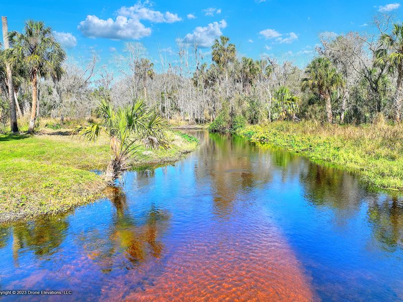 Lithia Premier River Retreat 30 Ac : Lithia : Hillsborough County : Florida