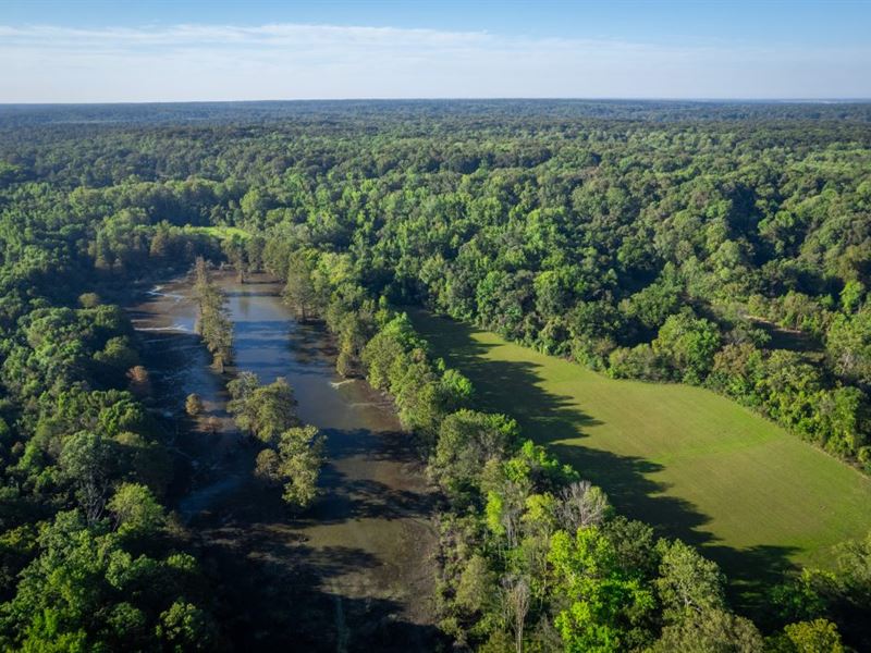 Lucy West Farm : Marianna : Lee County : Arkansas