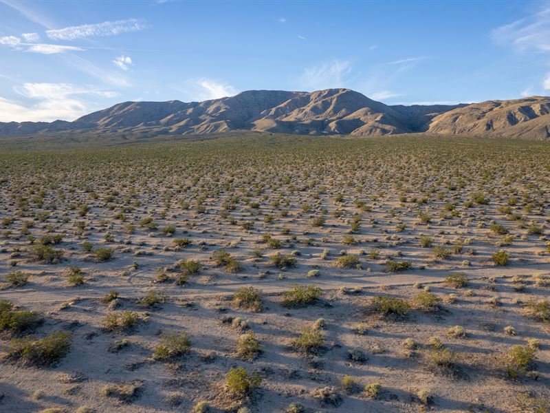 Your Desert Oasis in Landers, CA : Landers : San Bernardino County : California