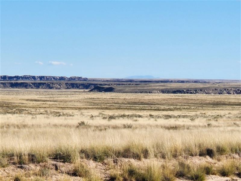 Campers' Paradise, 1.37 Acres in AZ : Adamana : Apache County : Arizona