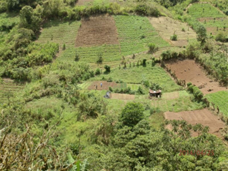 69 Ac Vegetable Farm, Virgin Forest : Volio De Cachi : Costa Rica