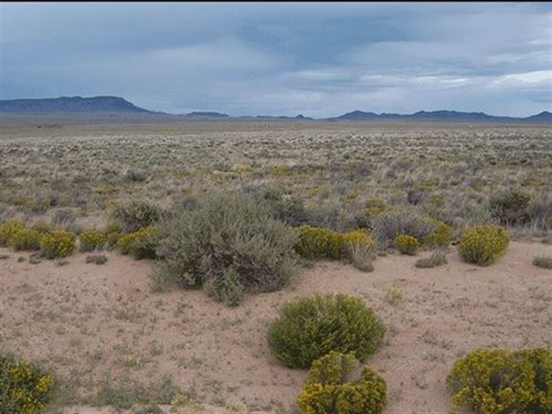 Rio Grande Ranches : San Luis : Costilla County : Colorado