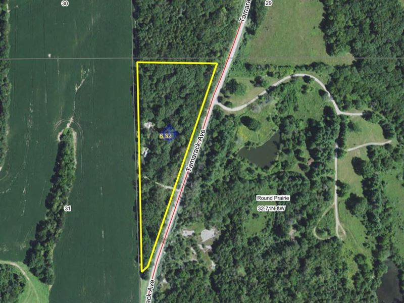 Wooded Building Lot in Jefferson Co : Fairfield : Jefferson County : Iowa