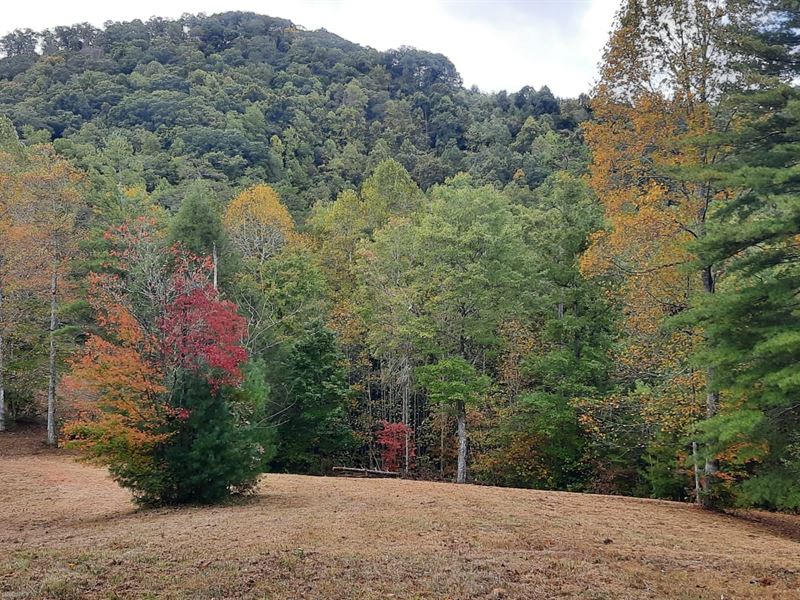 Amazing 4.1 Acre Mountaintop : Murphy : Cherokee County : North Carolina