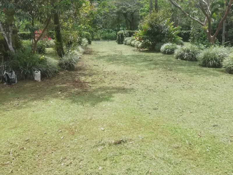 Beautiful Lot of 3 Thousand Meters : Pejibaye Jimenez : Costa Rica