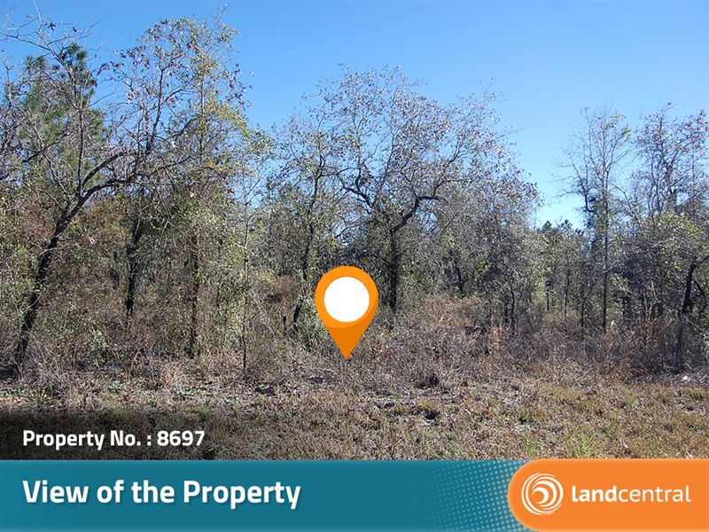 .46 Acre in Levy County, FL : Bronson : Levy County : Florida