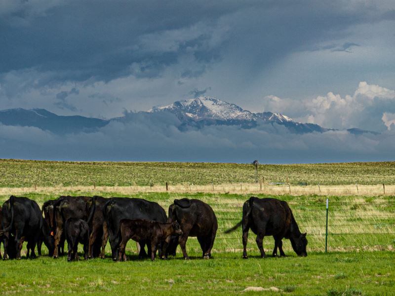 Tee Cross Ranch West Unit : Colorado Springs : El Paso County : Colorado