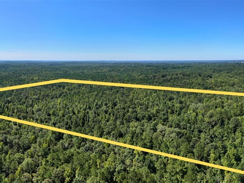 65 Acres Near Lake Martin : Alexander City : Tallapoosa County : Alabama