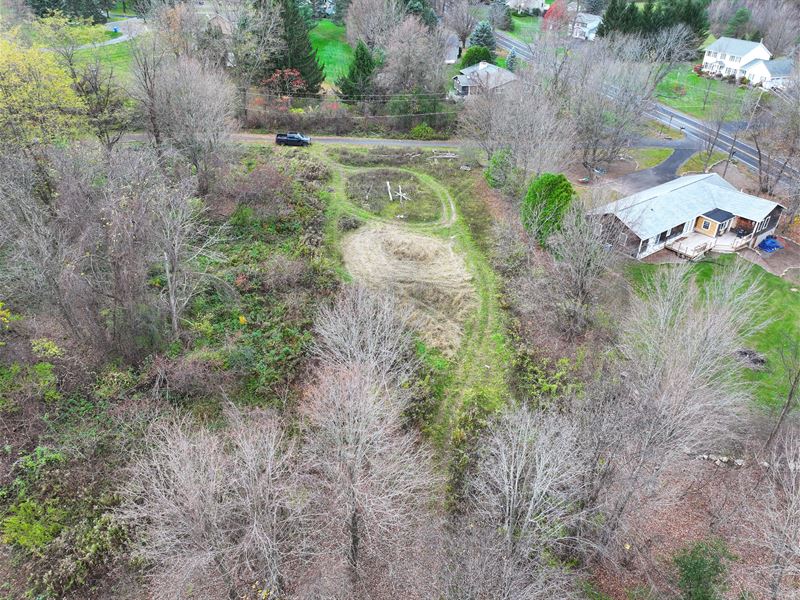 Spacious Wooded Lot to Build : Sullivan : Madison County : New York