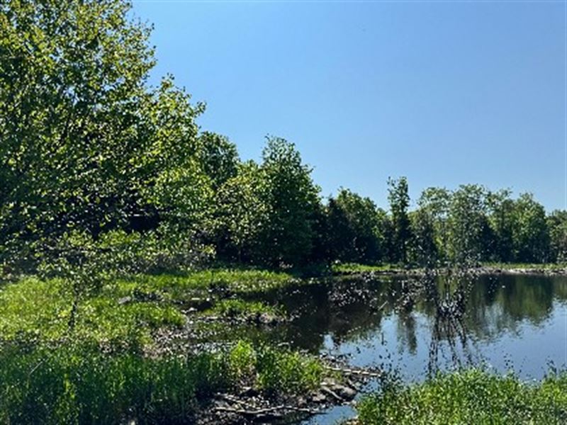 On Broad Brook : Lewis : Lewis County : New York