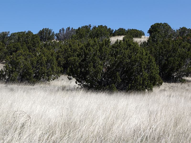 Discover Awe-Inspiring Vistas : Concho : Apache County : Arizona