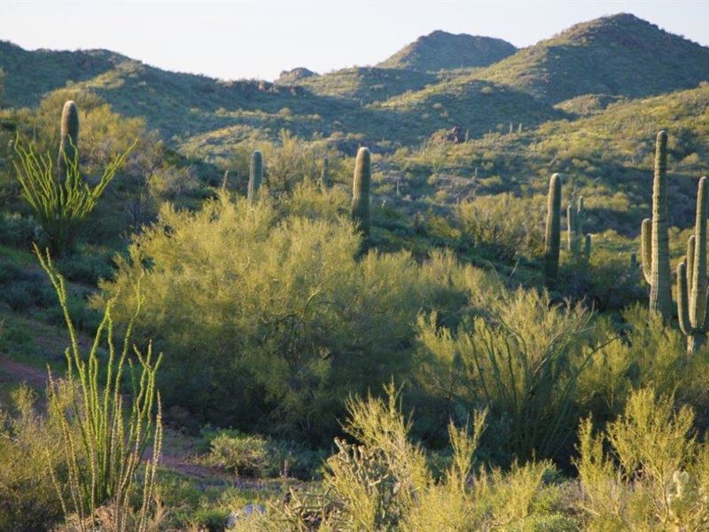 36 Acre High Desert Ranches : Wickenburg : Maricopa County : Arizona