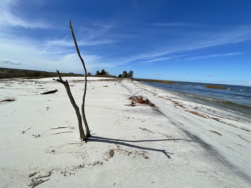 Waterfront Lot in Beaufort, NC : Beaufort : Carteret County : North Carolina