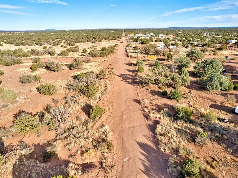 Your Dream Homesite Awaits : Snowflake : Navajo County : Arizona