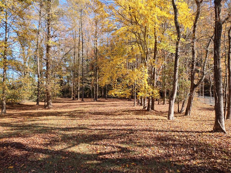 Large Wooded Homesite in Tree Shade : Washington : Beaufort County : North Carolina