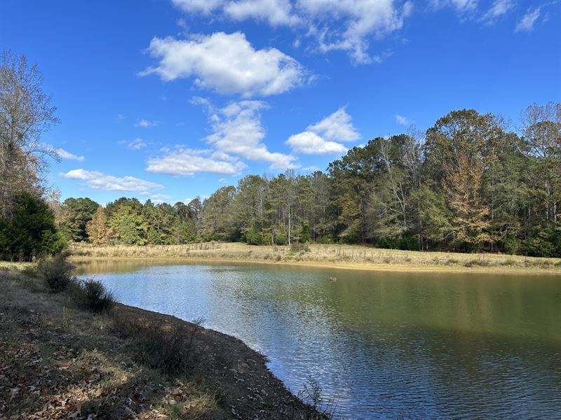 15 Ac. Lee County, Pond : Opelika : Lee County : Alabama