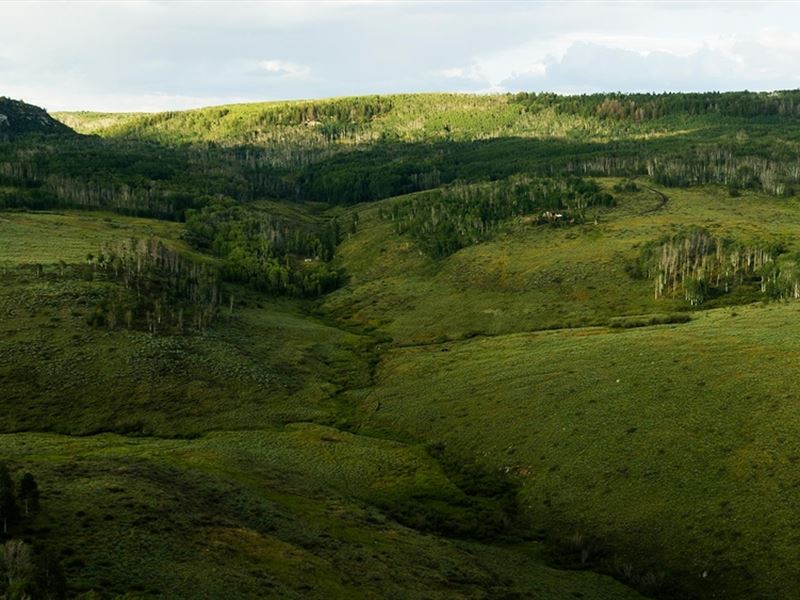 Lobe Creek Ranch : Glade Park : Mesa County : Colorado