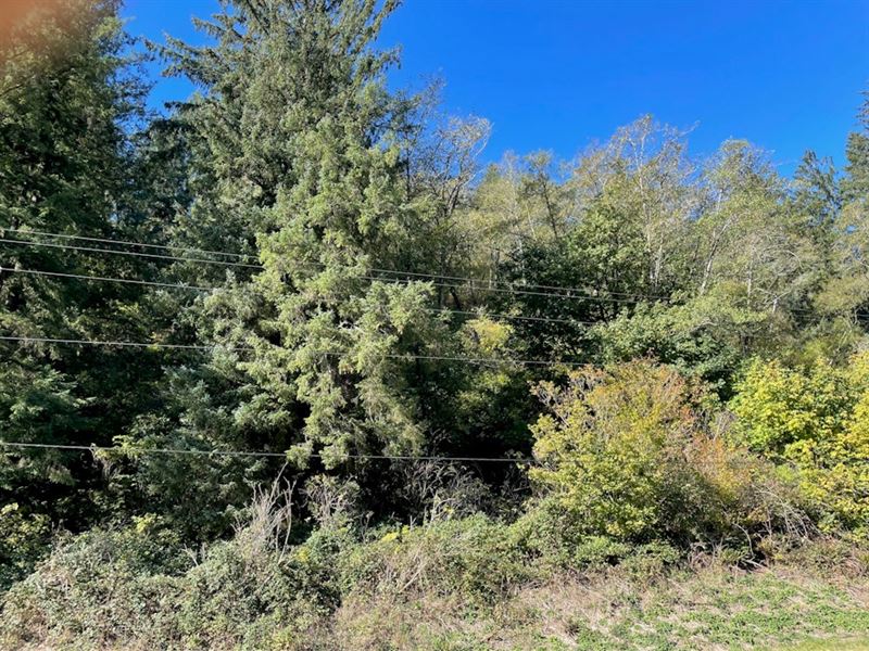 107 Acres in Tillamook, Oregon : Tillamook : Tillamook County : Oregon