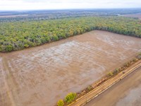 Wyles Slough Duck Woods : Forrest City : Saint Francis County : Arkansas