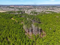 GA Hwy 100 1005 : Lylerly : Chattooga County : Georgia