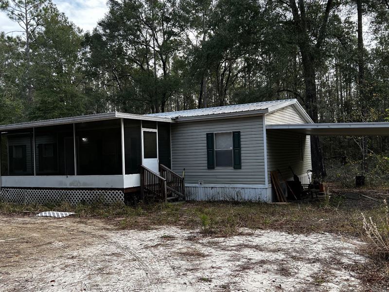 Looking for Peace and Quiet : O'brien : Suwannee County : Florida