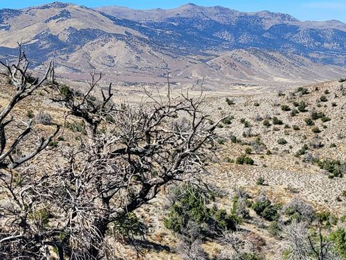 Nevada Desert Land for Sale : LANDFLIP