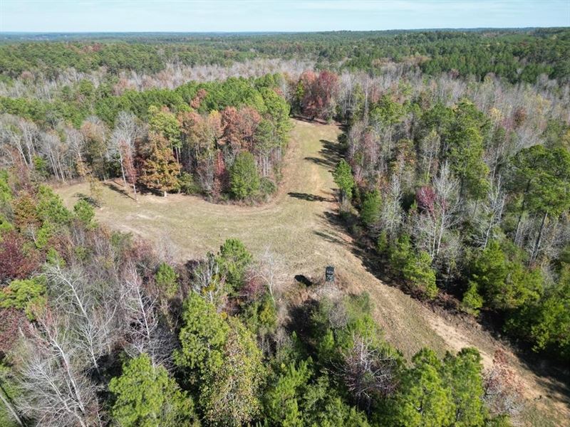 80 Acres Land for Sale Borders Nati, Land for Sale in Mississippi