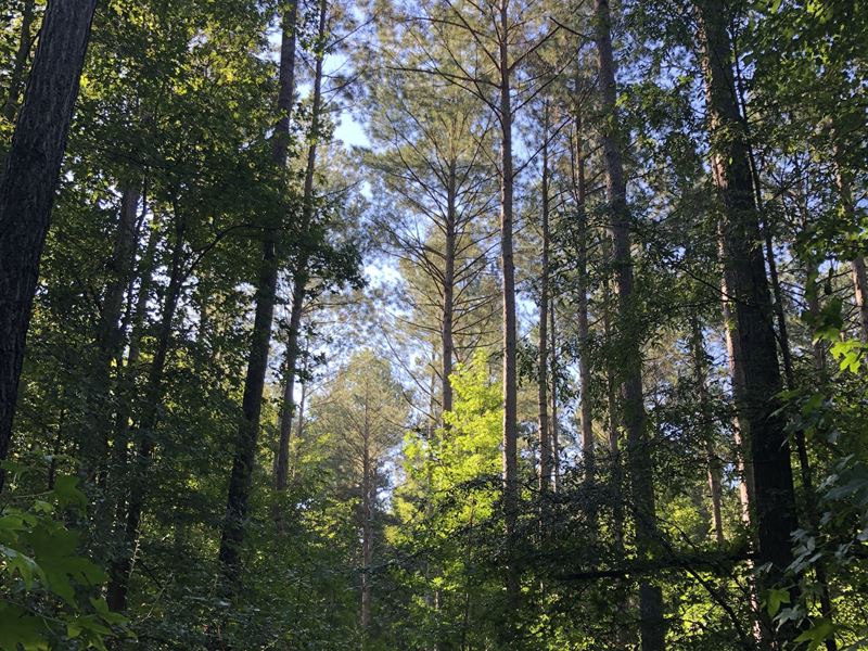 Pacolet River Frontage : Jonesville : Union County : South Carolina