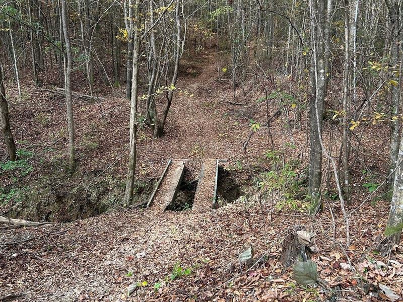 Moccasin Creek Tract : Arlington : Wilcox County : Alabama