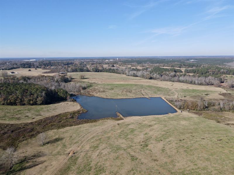 Orchard Pond Farm : Brundidge : Pike County : Alabama