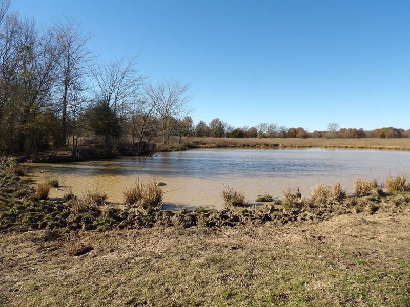 280 Acres Dual Ranch and Recreation : Boswell : Choctaw County : Oklahoma