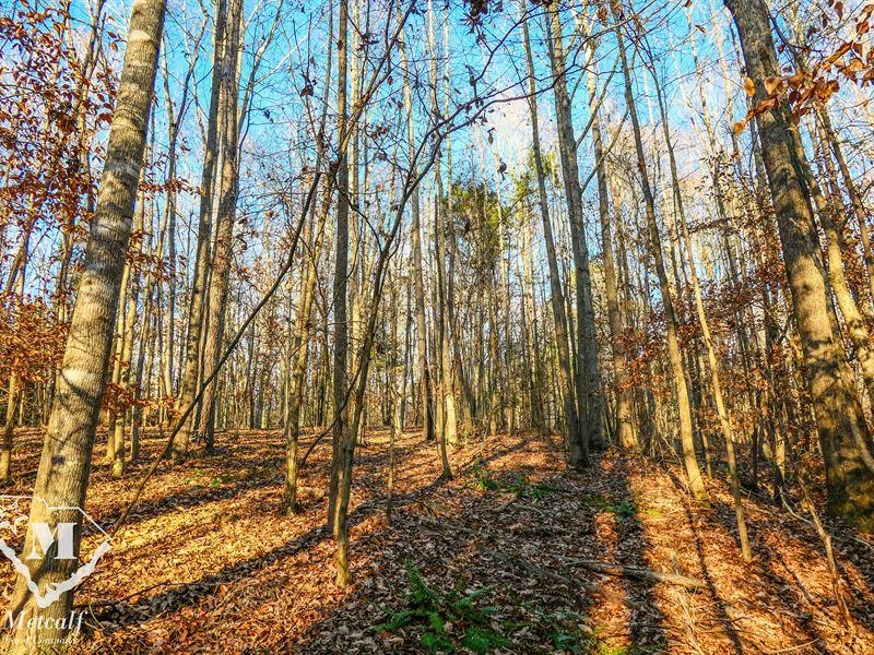 11.3 Ac Homesite Spartanburg County : Enoree : Spartanburg County : South Carolina