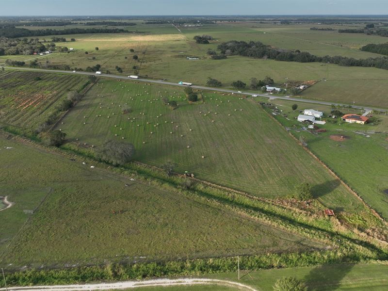 Mineral Branch Hayfield : Zolfo Springs : Hardee County : Florida