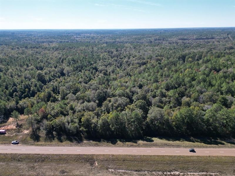 Great Timberland/Hunting Tract : McComb : Pike County : Mississippi