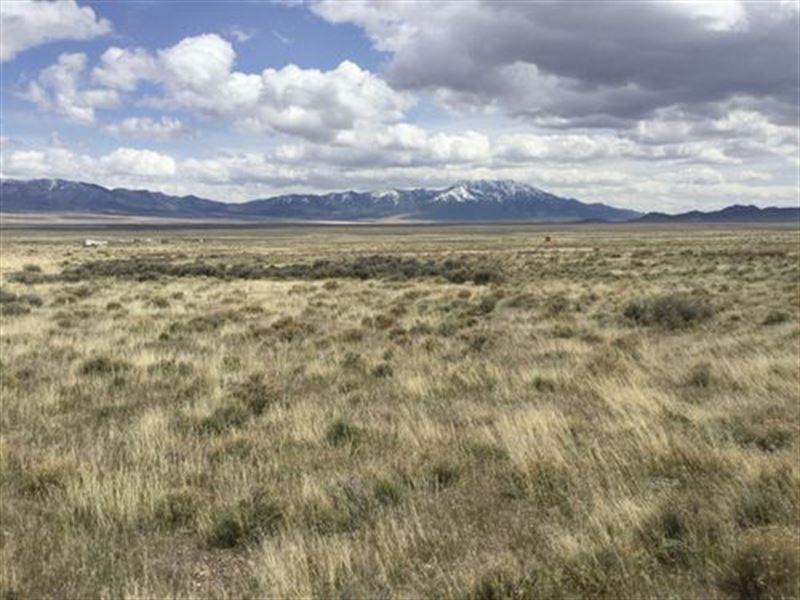 Perfect for Enjoying The Outdoors : Montello : Elko County : Nevada