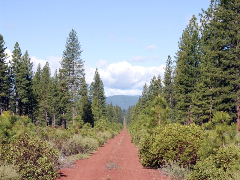 Acres In Shasta County Ca Land For Sale By Owner In California Landflip